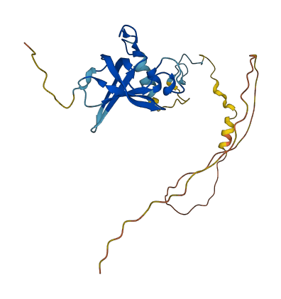 ZCCHC17 3D structure