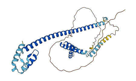 HMG20A 3D structure