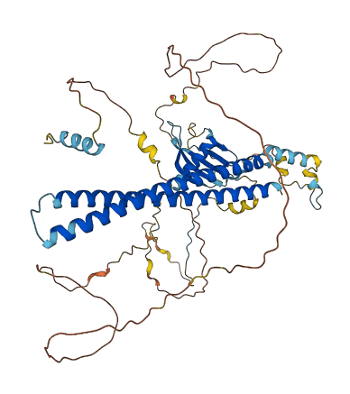 PALMD 3D structure