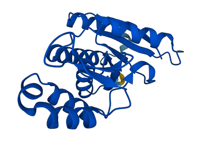 SSU72 3D structure