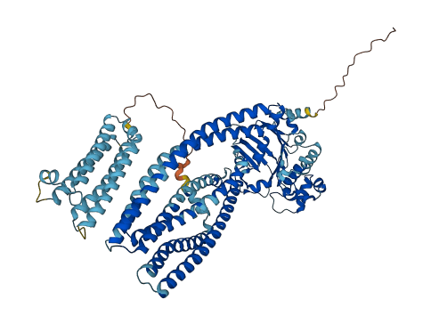 ABCB9 3D structure