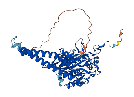SARS2 3D structure