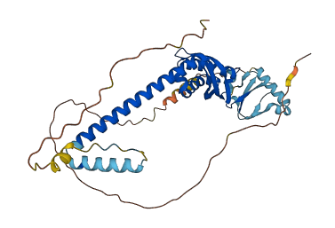 NPHS2 3D structure