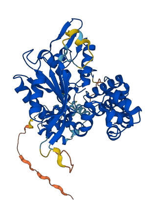 POLM 3D structure