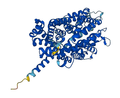 SLC6A20 3D structure