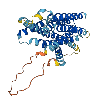 SLC39A2 3D structure