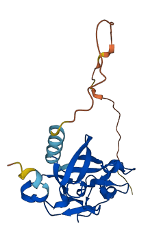 FGF20 3D structure