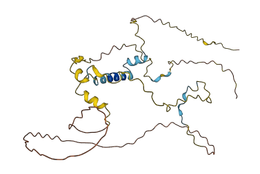 MYOZ1 3D structure