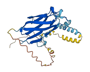 EMC7 3D structure