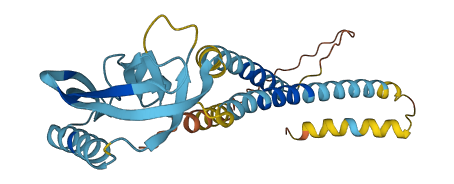 KCNMB3 3D structure