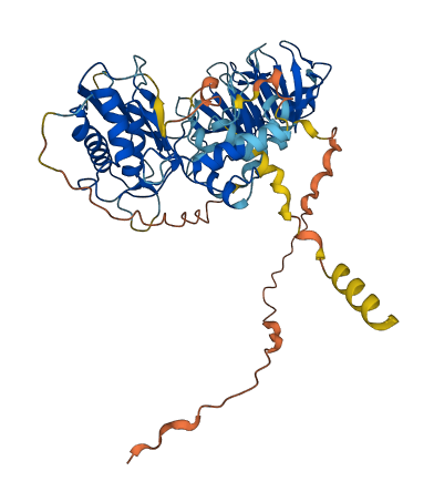MMP25 3D structure