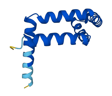 ENY2 3D structure