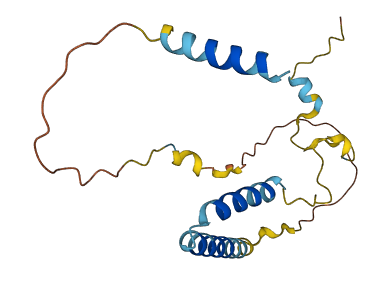 SAYSD1 3D structure