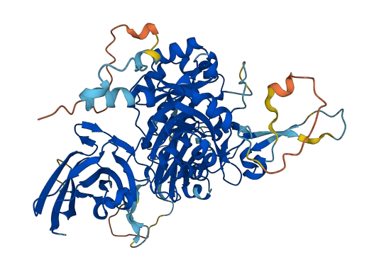 GPCPD1 3D structure