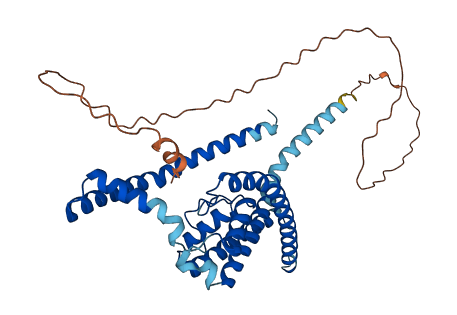 KCNK9 3D structure