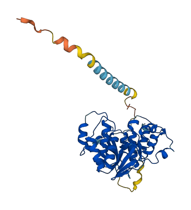 A4GALT 3D structure