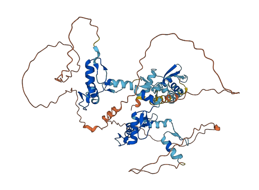 MYNN 3D structure