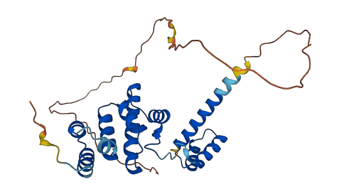 SIX2 3D structure