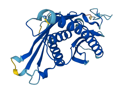 EXOSC4 3D structure