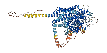 SLCO1B3 3D structure