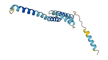 NRN1 3D structure