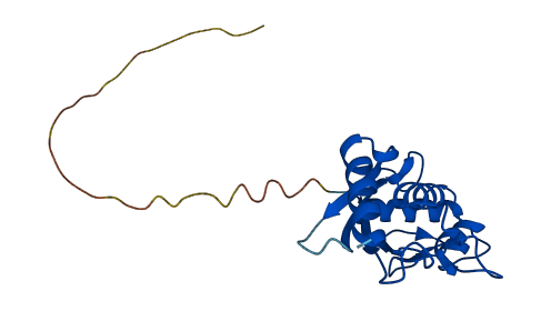 UBE2T 3D structure
