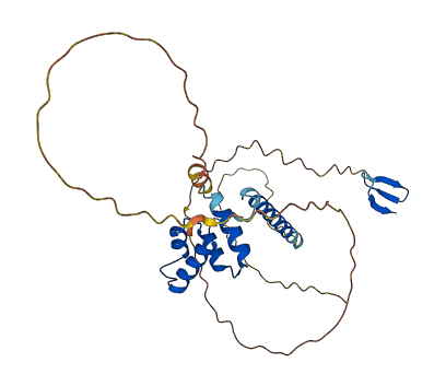 NGRN 3D structure