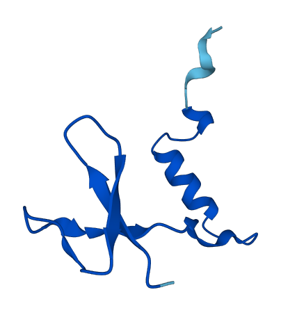 NOP10 3D structure