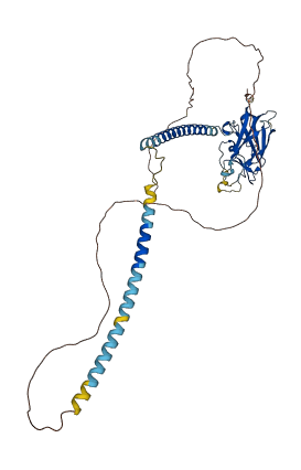 SPAG4 3D structure