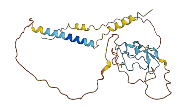 CD320 3D structure