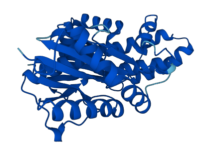 OSGEP 3D structure
