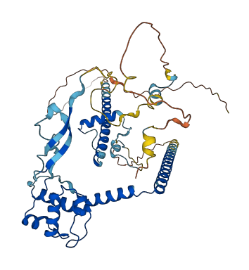 DMAP1 3D structure