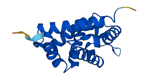 NGB 3D structure