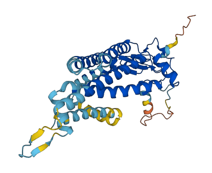 ZDHHC4 3D structure