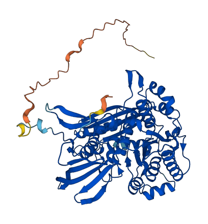 ISYNA1 3D structure