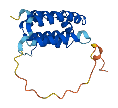 IL26 3D structure