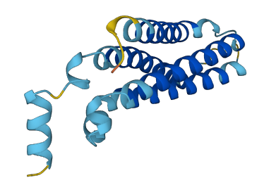 TMEM138 3D structure