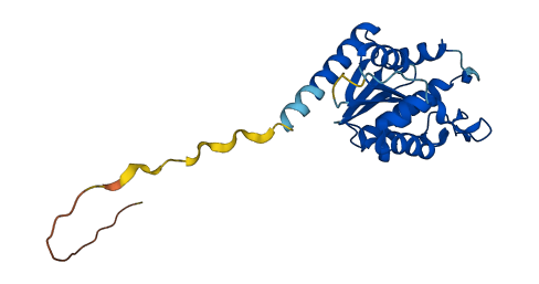 NMRK2 3D structure