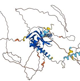 DCP1A 3D structure