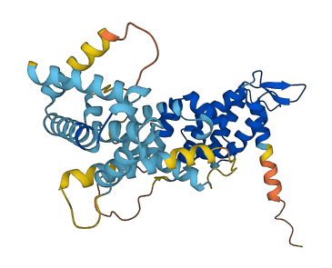FANCF 3D structure
