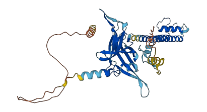 KCNJ16 3D structure