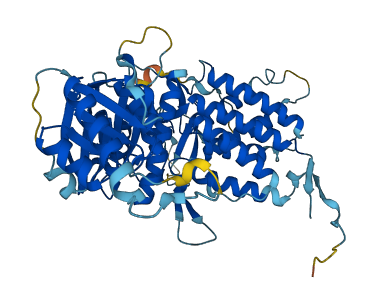 MKKS 3D structure
