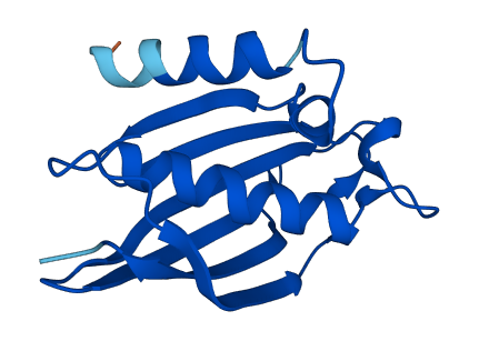 ACOT13 3D structure