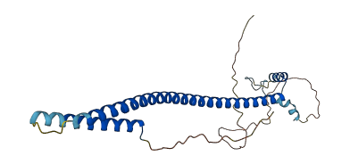 MED4 3D structure