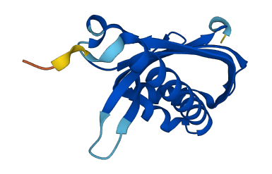 NXT2 3D structure