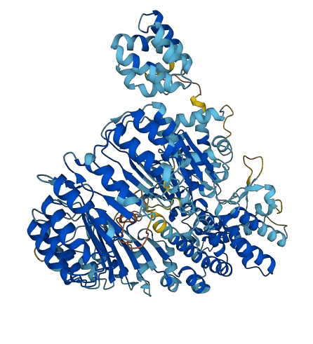 NLRC4 3D structure