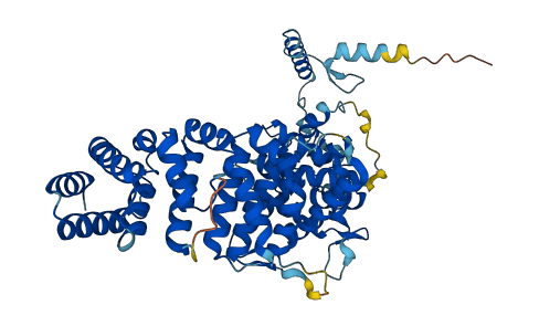 RIC8A 3D structure