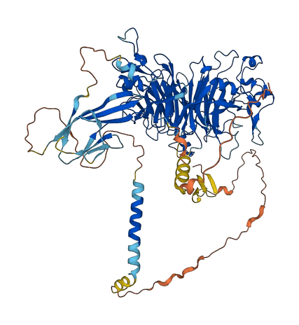 SEMA4B 3D structure