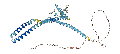 LUC7L 3D structure