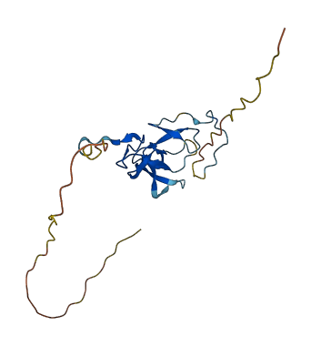 ESM1 3D structure